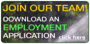 GreenLawn Employment Application