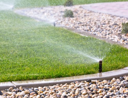 How to Plan Your Lawn’s Irrigation System