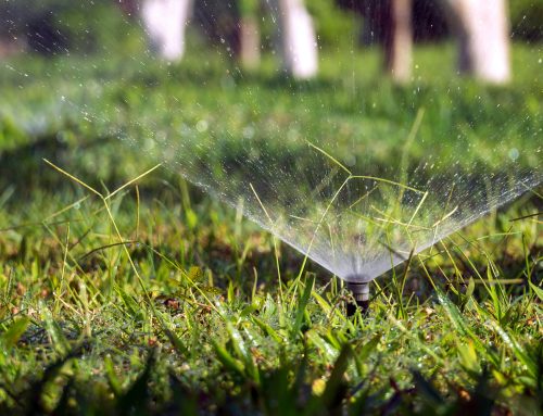 Should You Reduce Your Irrigation Schedule in September?
