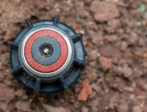 DIY vs. Professional Irrigation System: What’s the Real Difference?