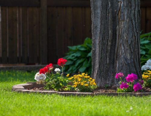 Different Plants Need Different Amounts of Water: A Smarter Way to Irrigate Your Landscape