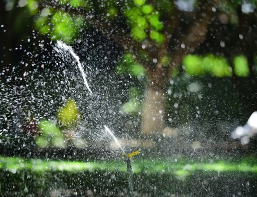 Cycle and Soak Watering: What Is It and When Should You Use It?