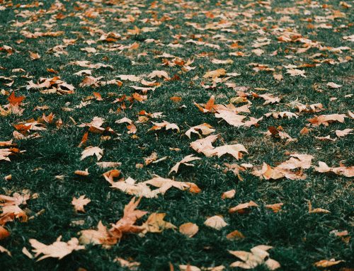 When Should You Winterize Your Irrigation System in Connecticut?